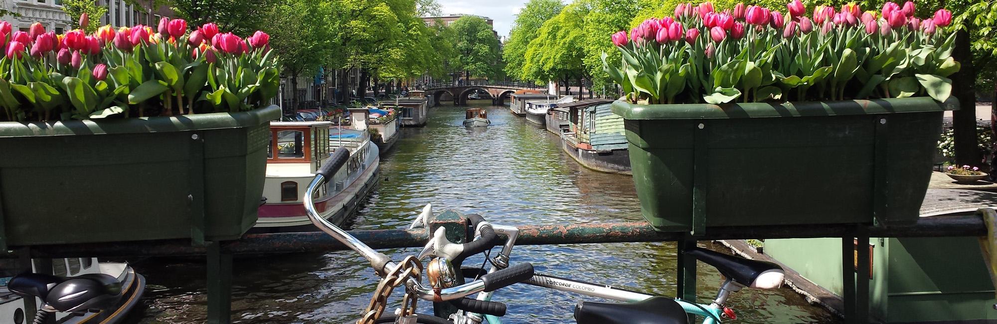 Dutch Bike Tours Cycling holiday Cycling from Amsterdam