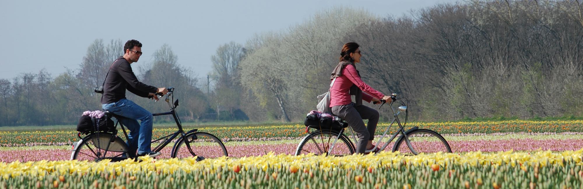 self guided bike tours holland