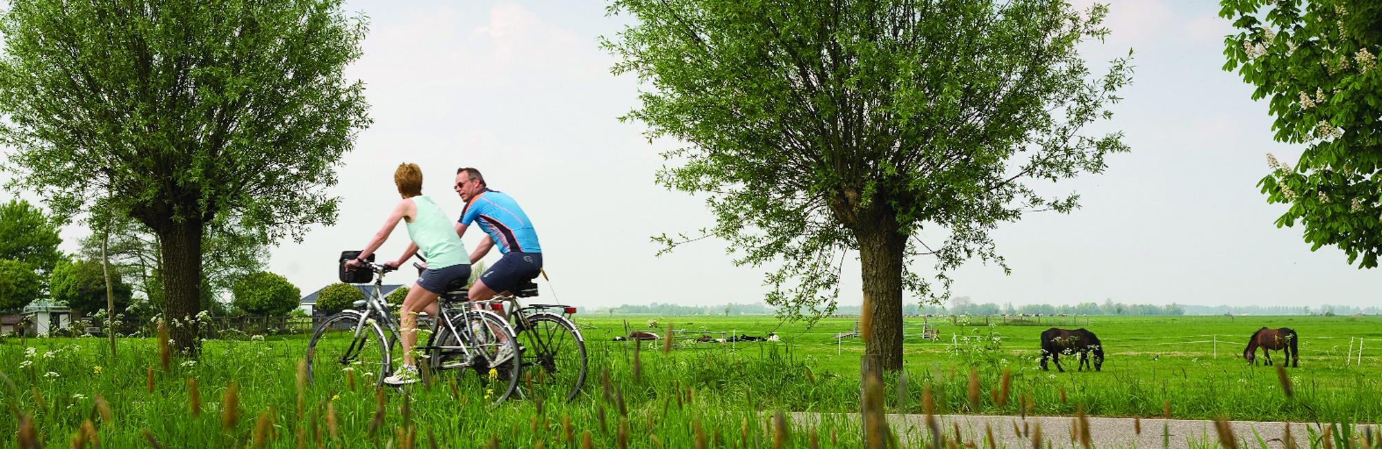 Dutch Bike Tours Cycling holiday IJsselmeer sportiv tour