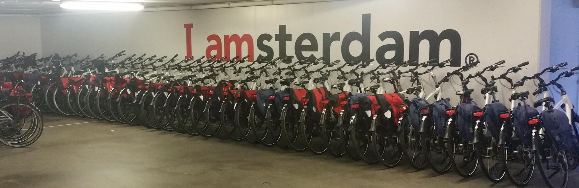 Bike Rental Bike Rental